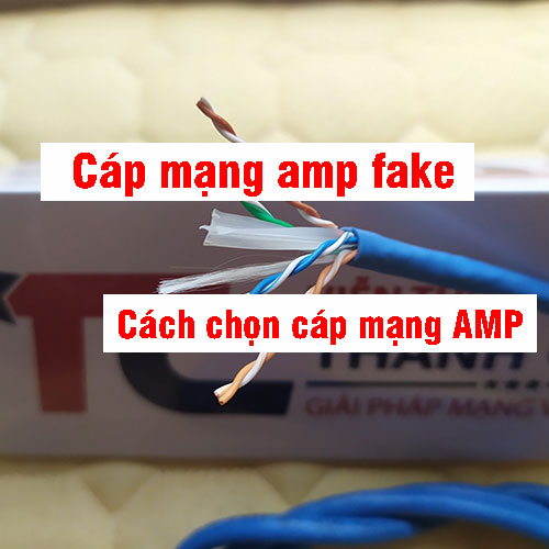 Cáp mạng AMP fake – Những lưu ý khi đi mua cáp mạng AMP