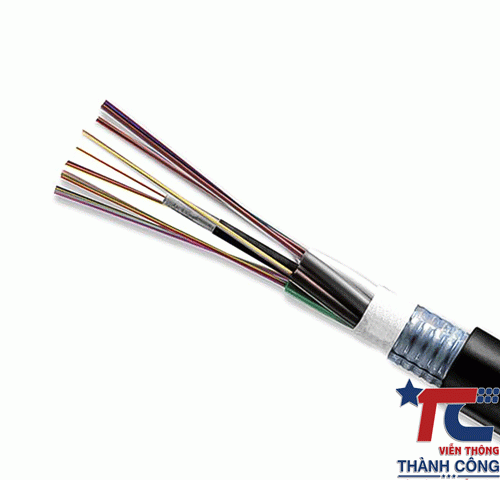 Cáp quang 24FO OM5 GYXTW Multimode